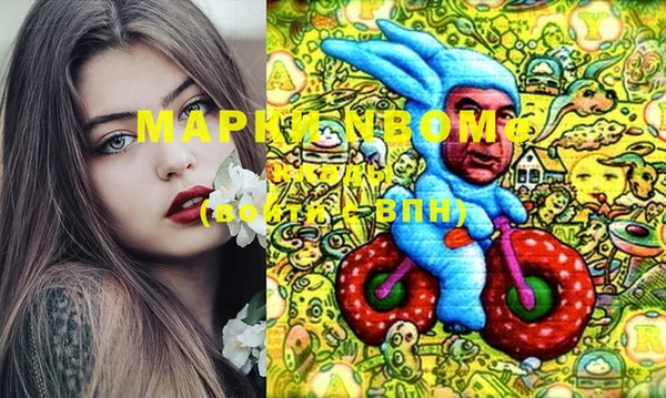 хмурый Алексин