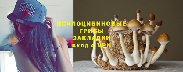 герыч Алексеевка