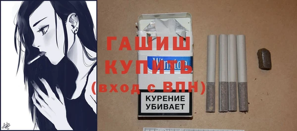 хмурый Алексин