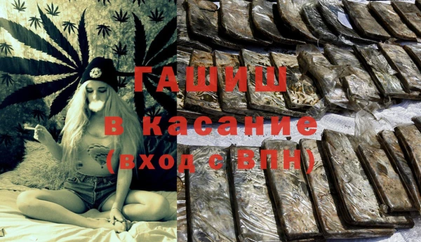 хмурый Алексин