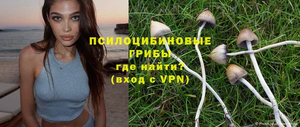 хмурый Алексин