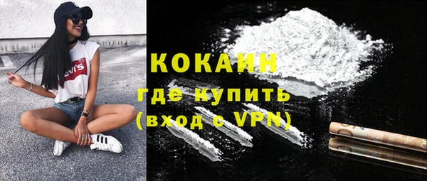 прущие грибы Саяногорск
