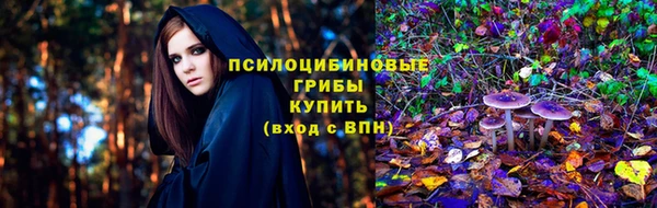 хмурый Алексин