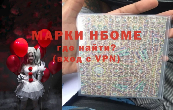 хмурый Алексин