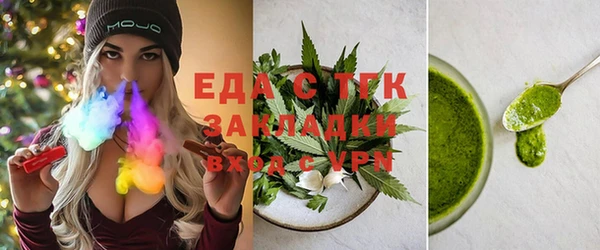 хмурый Алексин
