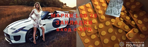 дмт Алзамай