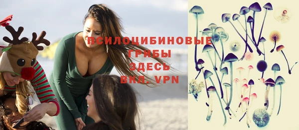 дмт Алзамай
