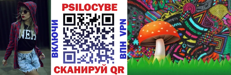 OMG   Бирюч  Псилоцибиновые грибы ЛСД  цены наркотик 